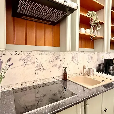 Apartament Elegance Through Time, Designed For Today - Calea Victoriei Bucureşti