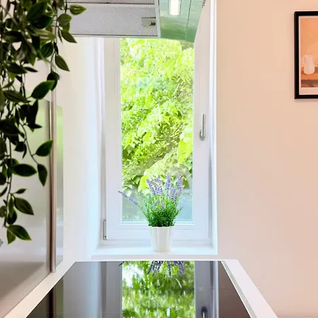 Apartament Elegance Through Time, Designed For Today - Calea Victoriei Bucureşti